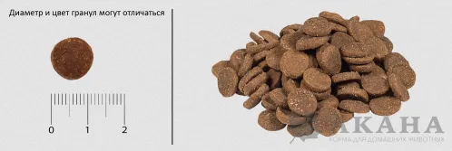 Размер гранулы сухого корма для кошек Acana (Акана) Wild Prairie