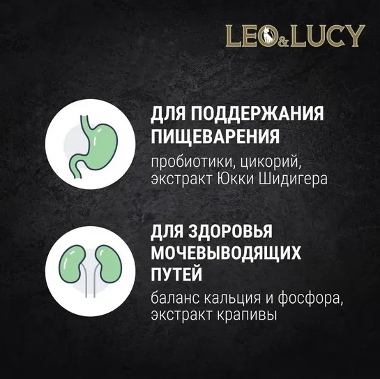 Ингредиенты в составе сухого корма для кошек LEO&LUCY (Лео и Люси) и их положительное влияние на организм питомца (информативная картинка №1)