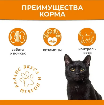 Преимущества сухого корма для кошек Statera (Статера)