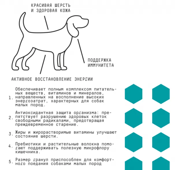 Положительные свойства корма AJO (Айо) для собак малых пород