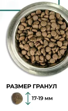Размер гранулы сухого корма для собак Bisko (Биско) Премиум (Premium) крупных и средних пород