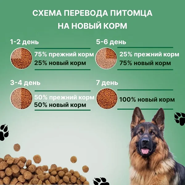 Правила перевода на сухой корм Терагав Норма для взрослых собак всех пород